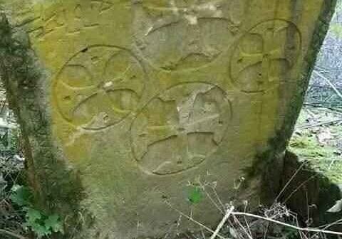 media-whatsapp-image-2026-02-18-at-12-36-40-1