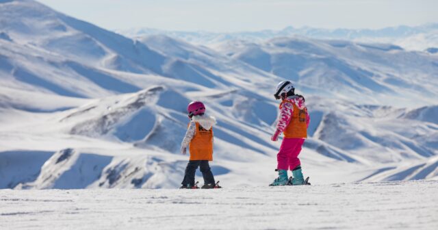 media-whatsapp-image-2026-02-23-at-13-18-14