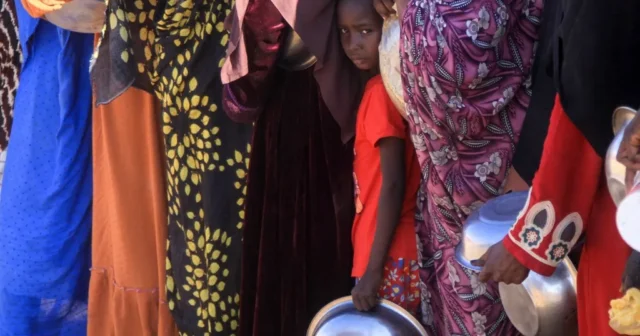 media-dd85e830-08fb-11f1-9972-d3f265c101c6-jpg