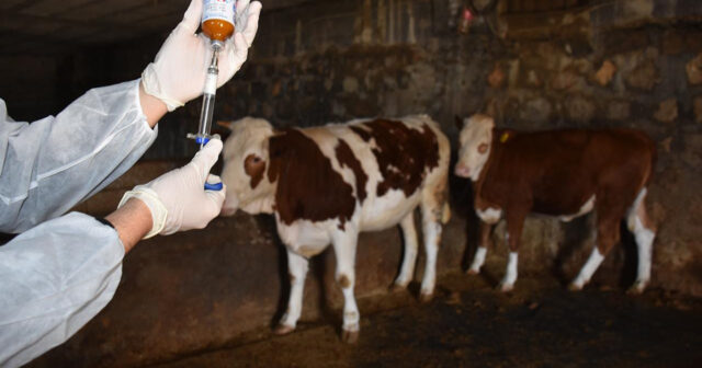 media-interpress_b67cb7d577dd4ccdaff5610e5c699cd2_b54puw8jeixco1rgl6sh_1758279961