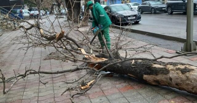 media-photo_5197381754036095843_y