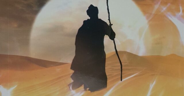 media-photo_5213457541747119120_y