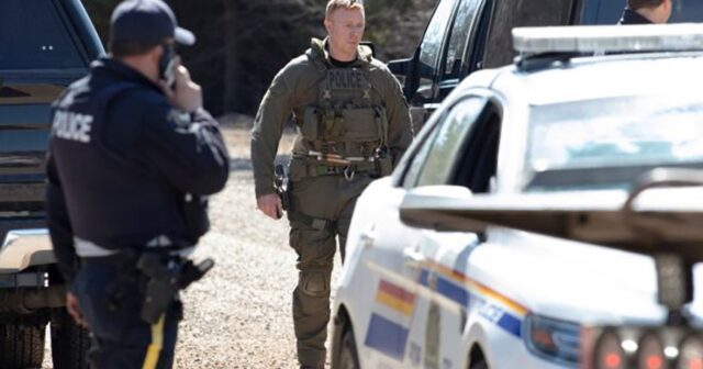 media-photo_5215486325383960488_y