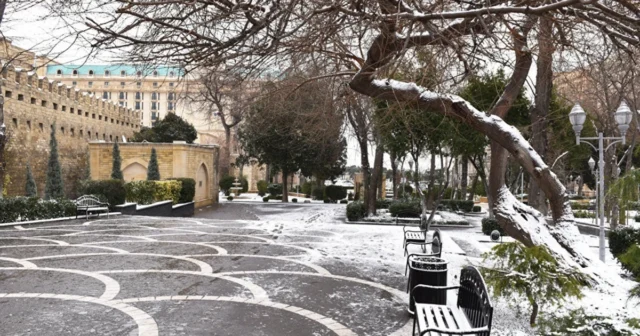 media-qar_baki_1200_1765690983