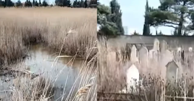 media-v4nnagd1561vrjjsa6hkjlkx6m8p8omqfqrxjxmk_1200