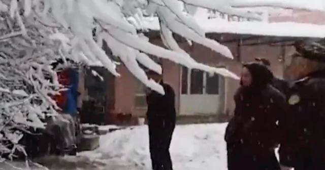 media-wmj3gehodw71toyj59jhq0fkvifevjlyrojx1xug_1200