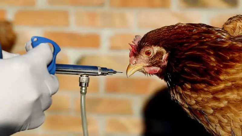 media-_117552506_gettyimages-634357008-594x594-jpg