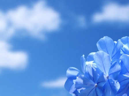 media-1396252662_pogoda4