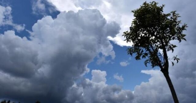 media-1639212634_hava1-1