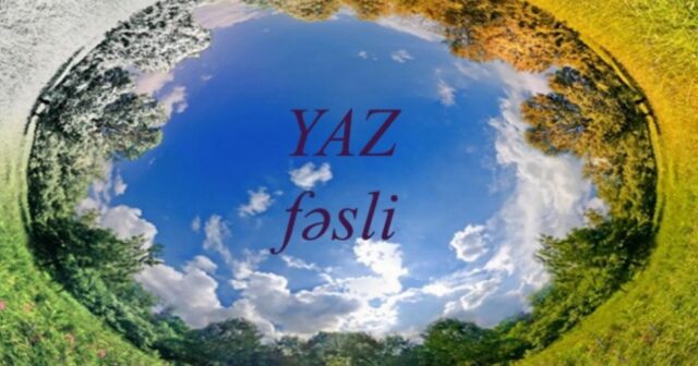 media-16477865554776028704_1200x630