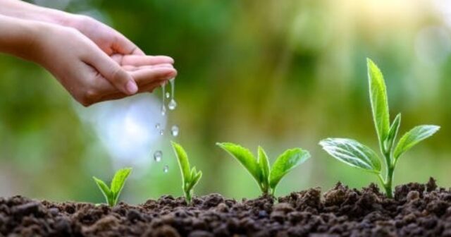 media-171082963111839180_1200x630