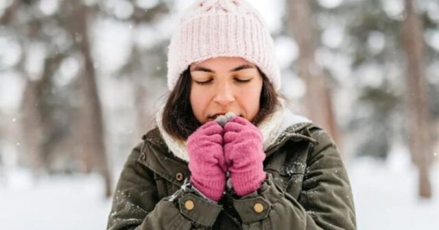 media-1738040484_5242673253615530523