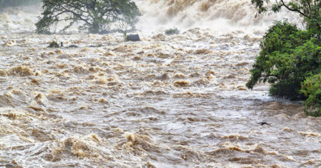 media-1749965378_1746163973_cay-sel