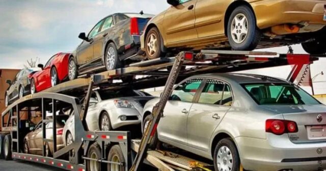 media-1759390959_5399968841624321205