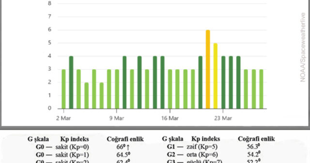 media-17724559501965725080_1200x630