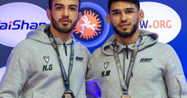 media-17725356245288710413_1200x630