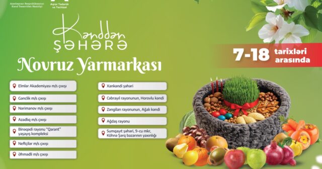 media-1772613086-sayt-04-jpg