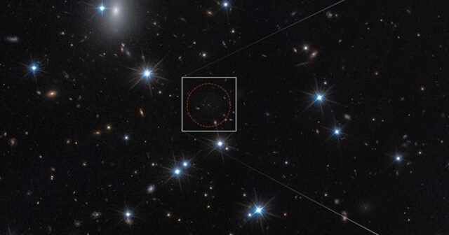 media-17726318875611550558_1200x630