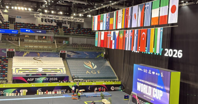 media-17726984444690263659_1200x630