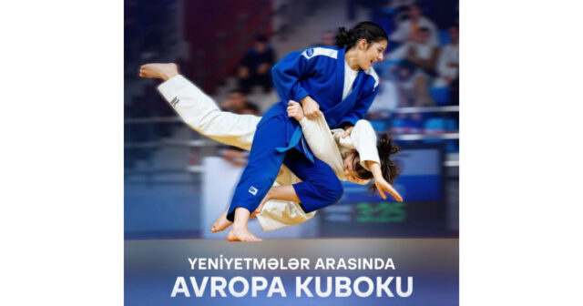 media-17727138281455960172_1200x630