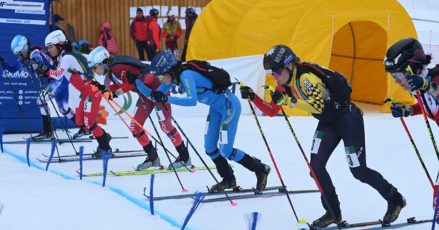 media-17727145993438022467_1200x630