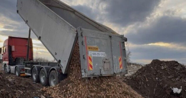 media-17727170565358662221_1200x630