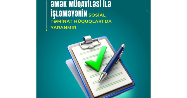 media-17727179644049827914_1200x630