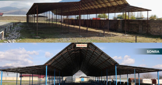 media-1772720539770231496_1200x630