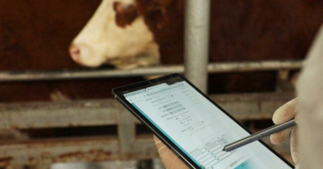 media-17727893781853718814_1200x630