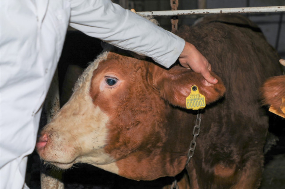 media-17727893783002951511_1200x630