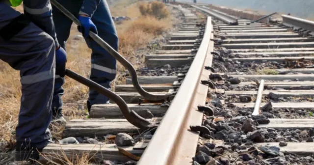 media-1773229300_1773229106-photo_318252