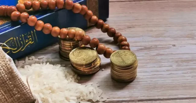 media-1773298531_1771317191_132fc4bc0d05fc1-1