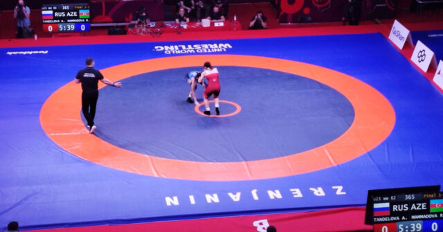 media-17734249416502246089_1200x630