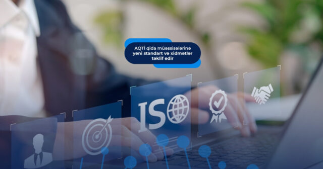 media-17736592274876161261_1200x630