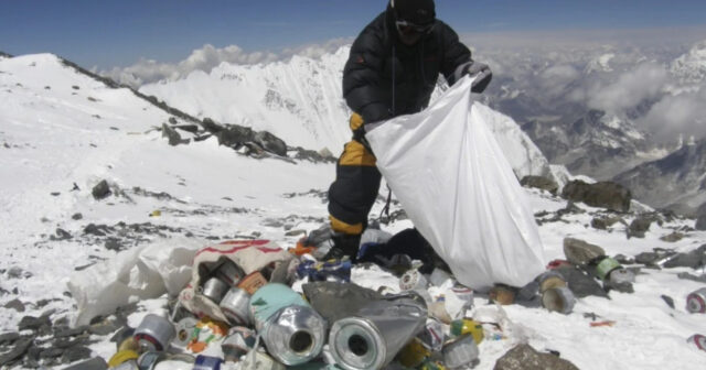 media-17736710115511158282_1200x630