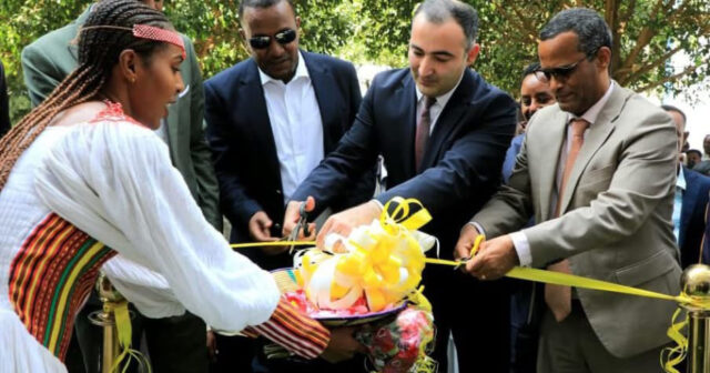 media-17737296965549739391_1200x630