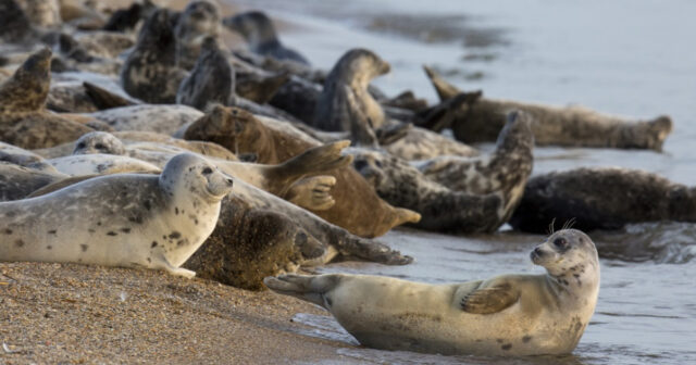 media-17739200633707511719_1200x630