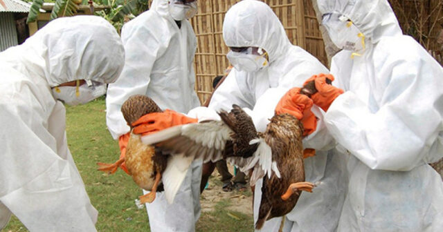 media-1774264577527894370_1200x630