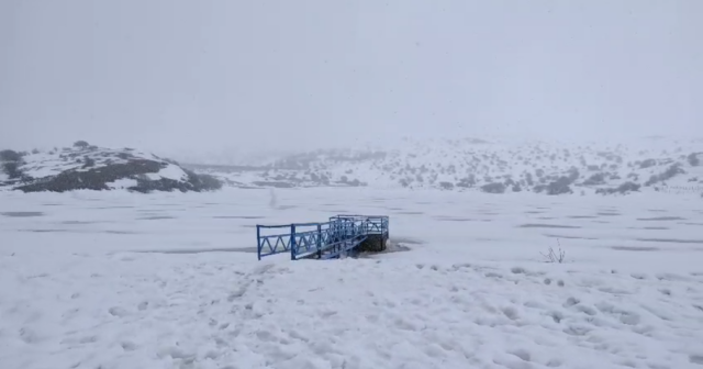 media-1774616113837310208_1200x630