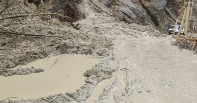 media-17747078053602328775_1200x630