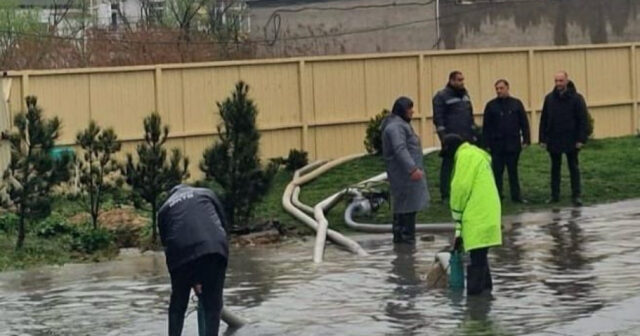 media-17747105412947612367_1200x630