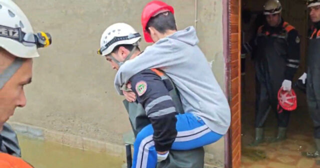 media-17747952745300637515_1200x630