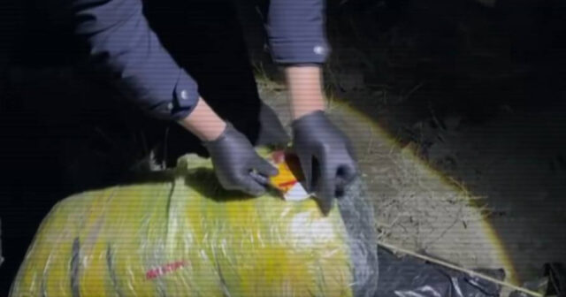 media-17748457673217541315_1200x630