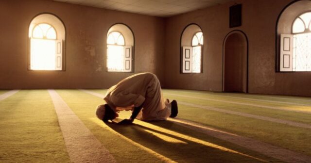 media-222277_cak8c2s8ns