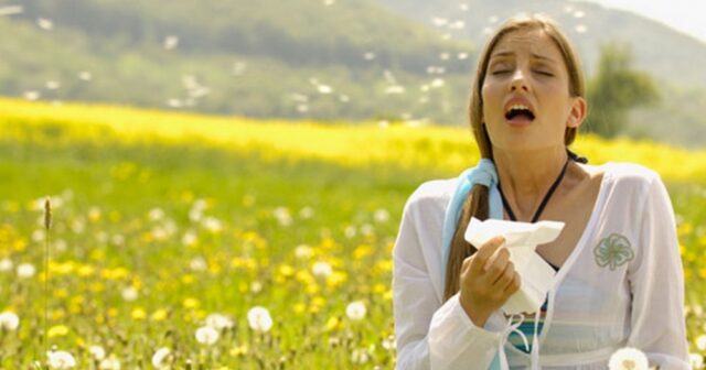 media-259363_km3uas8q9g