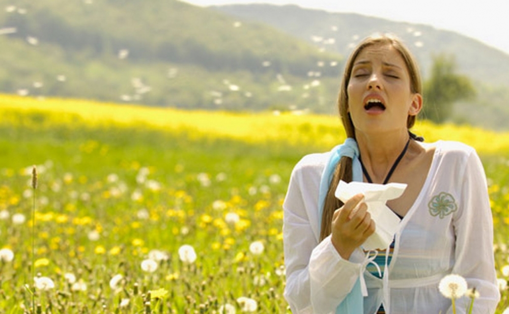 media-259363_km3uas8q9g