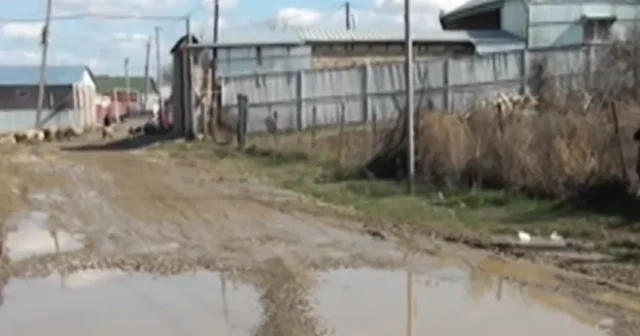 media-2vkmiret2yswc0fdloco43n11ki07x2txabhicia_1200