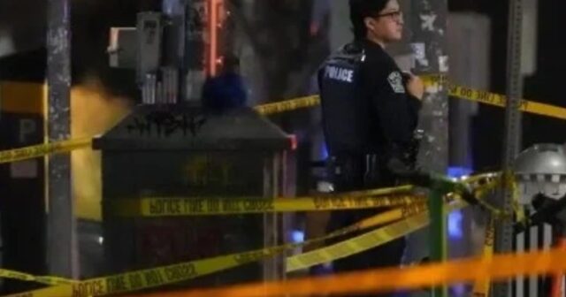 media-52632fce-2c36-43b2-aeb7-e360752fb6e3