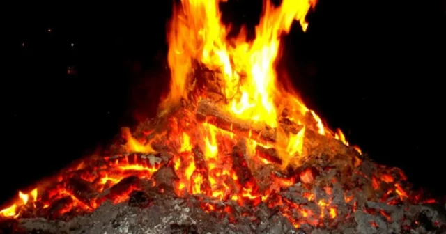 media-69bee8ec687ec69bee8ec687ed177411914869bee8ec687e969bee8ec687eb