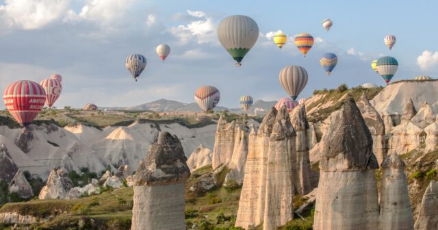 media-87d54f9b-6b46-4802-b8d7-c79e8216e57e